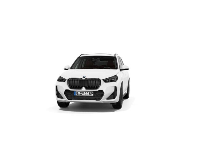 BMW X1 (sDrive20d 120 kW (163 CV)) en Alicante