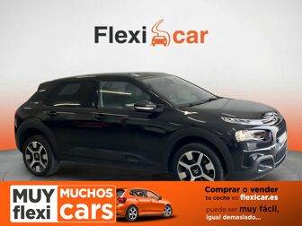 Imagen de CITROEN C4 Cactus 1.6BlueHDi S&S Business 100