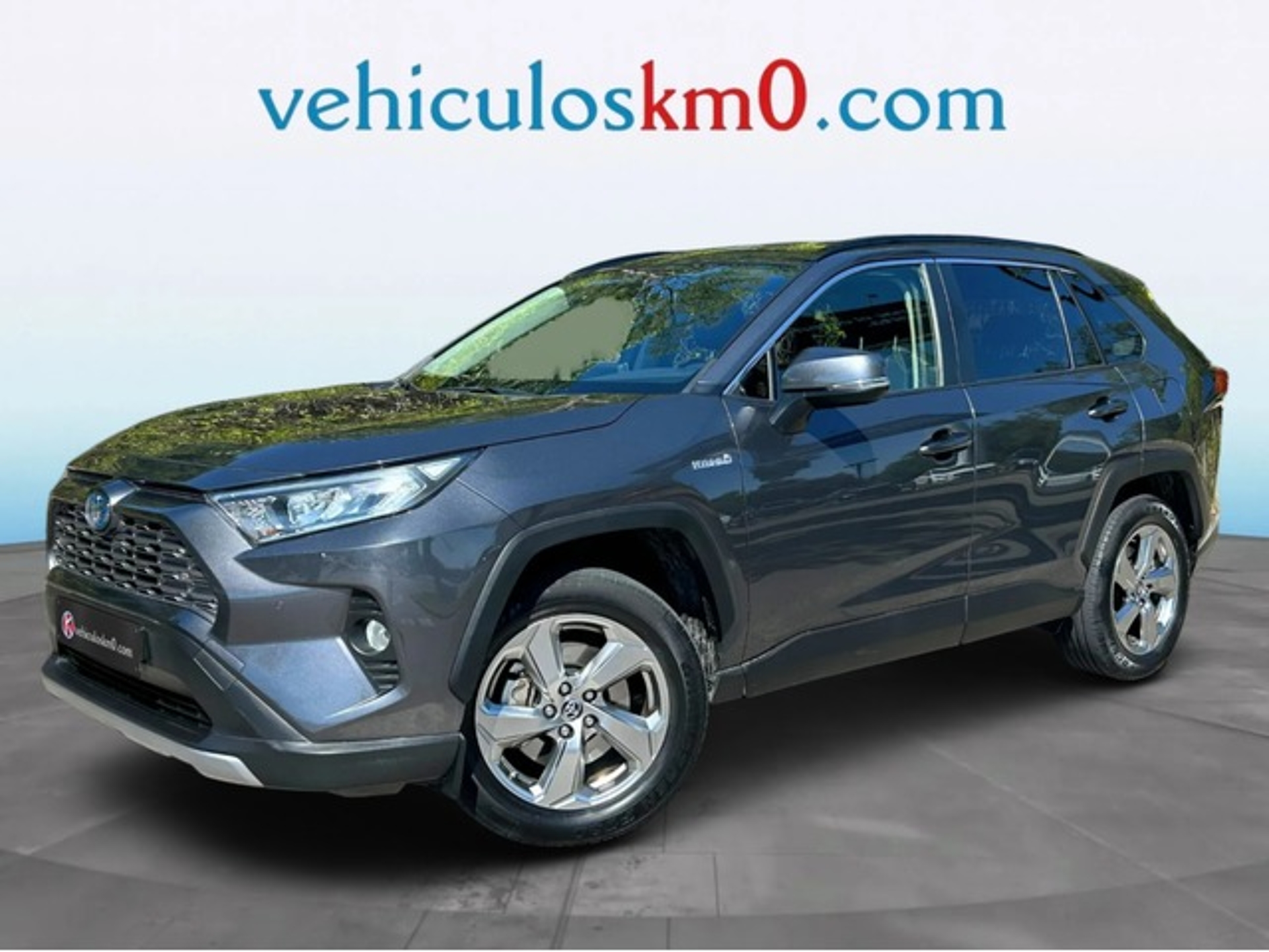 Imagen de TOYOTA RAV-4
