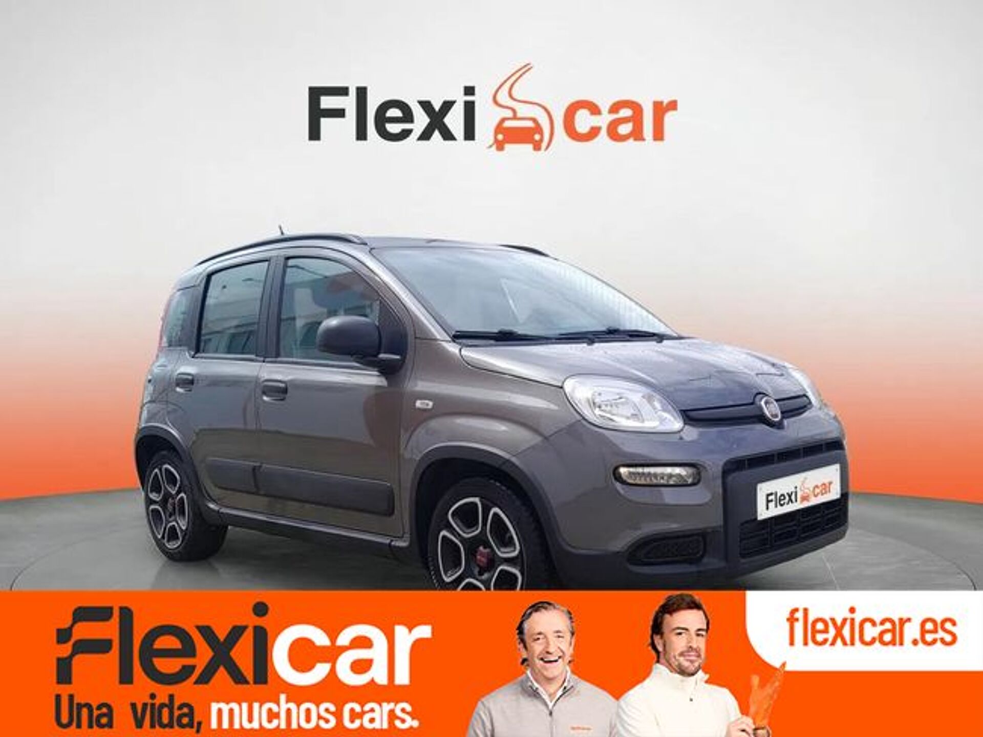 Imagen 1 de FIAT Panda
