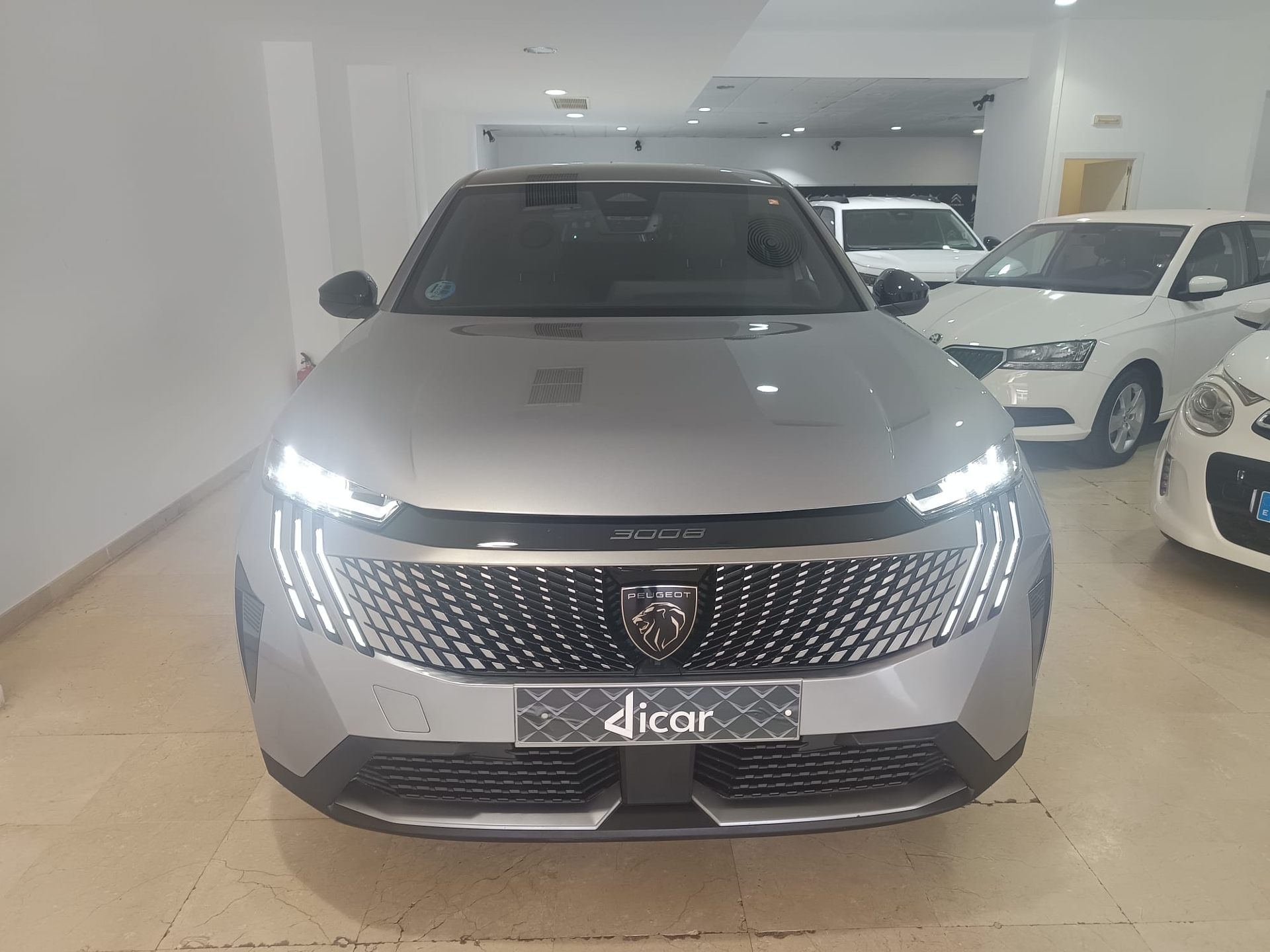 Imagen de PEUGEOT 3008