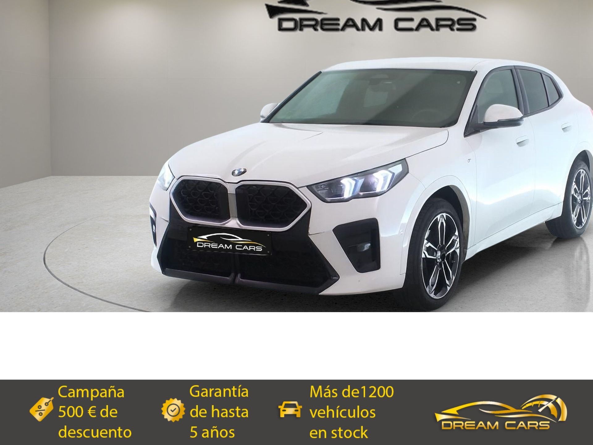 BMW X2 (sDrive18d 110 kW (150 CV)) en Madrid