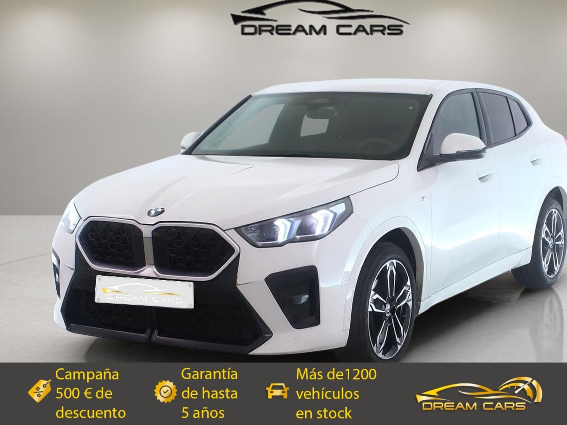 Imagen de BMW X2