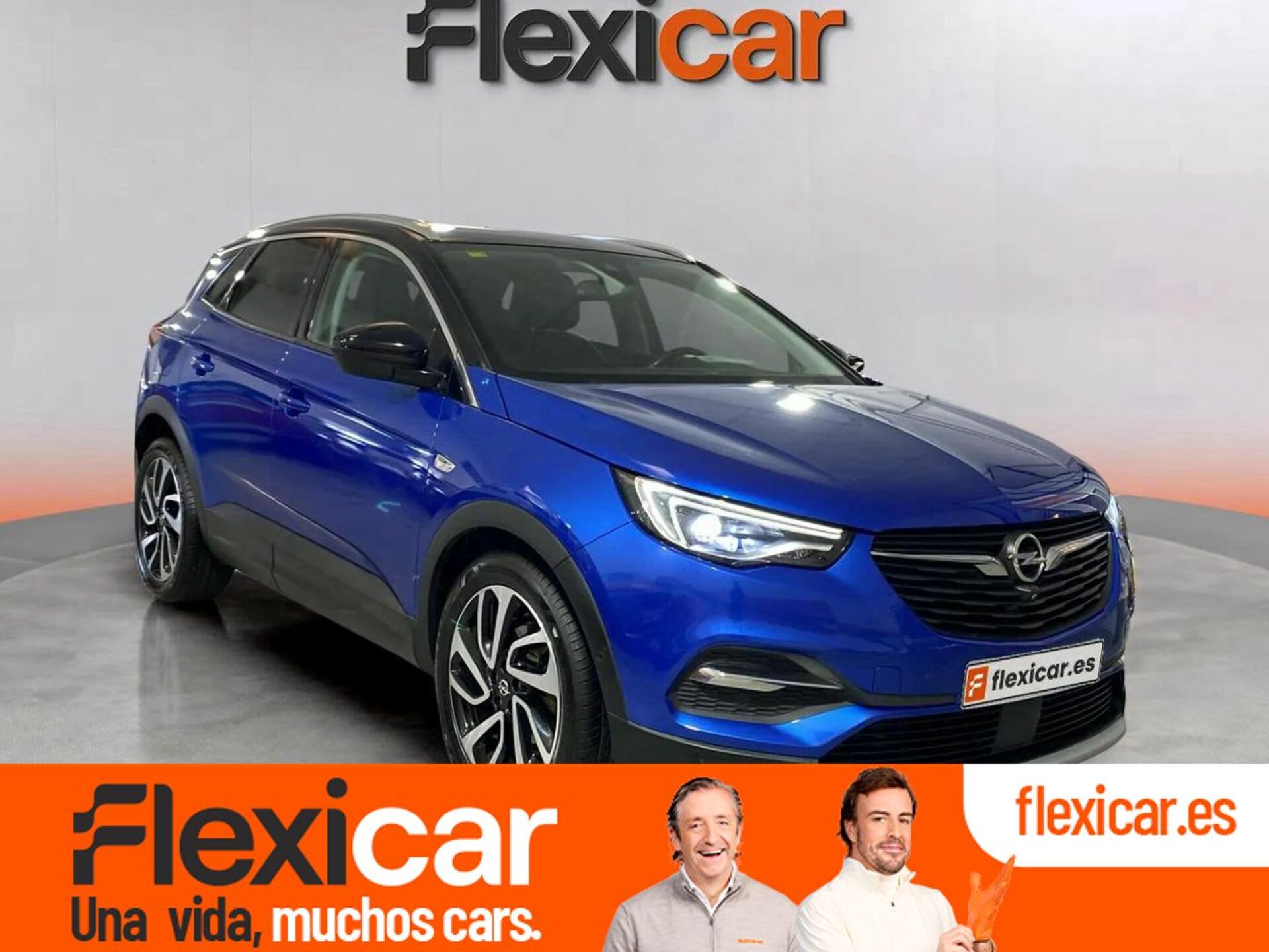 Imagen de OPEL Grandland X