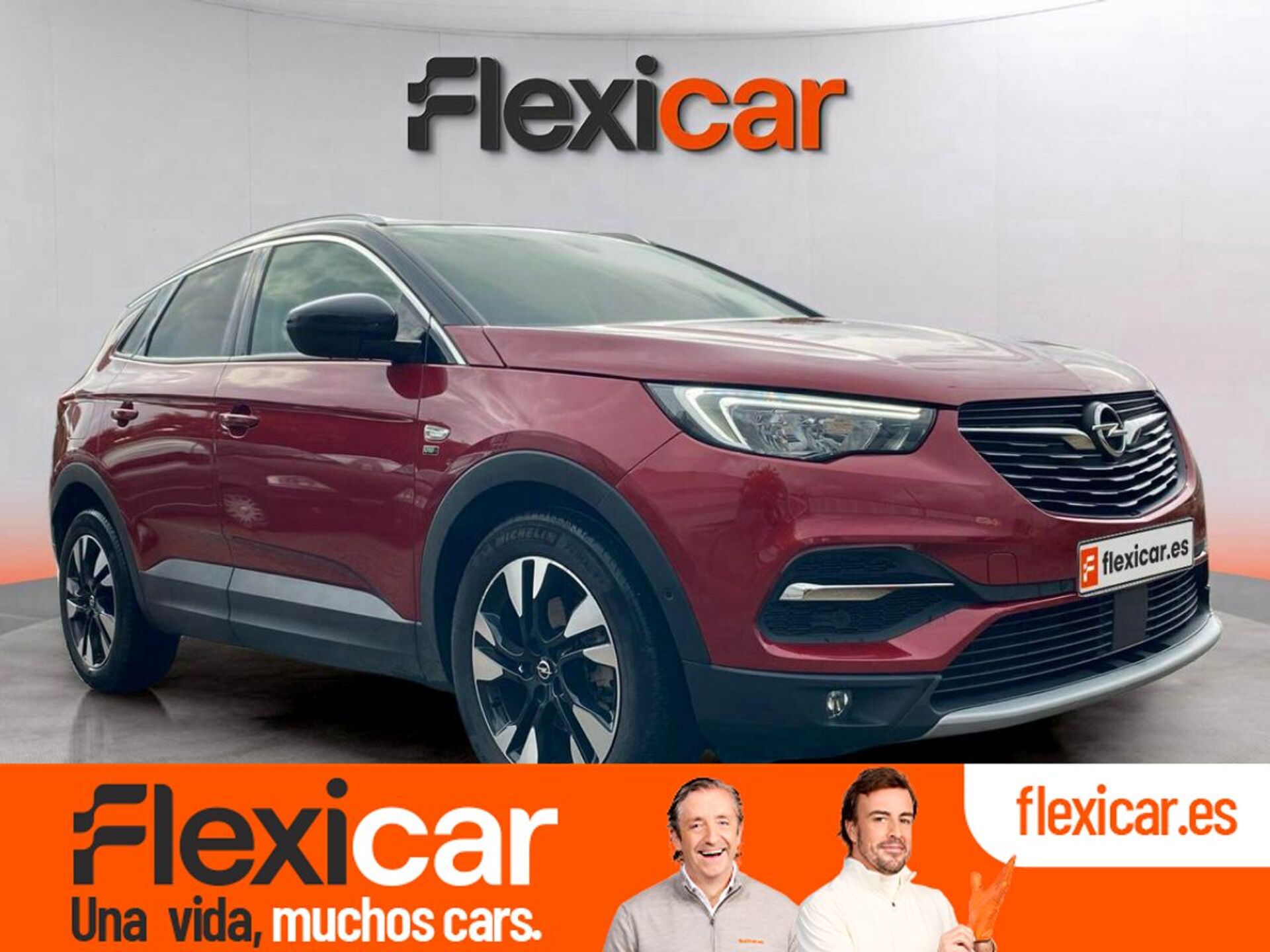 Imagen de OPEL Grandland X