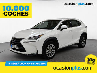 Imagen de LEXUS NX 300h Executive 4WD