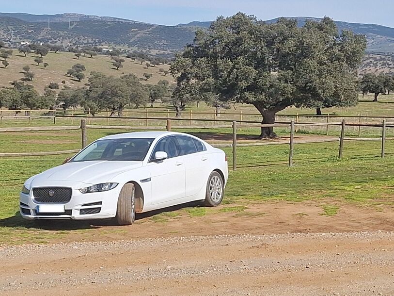 Foto del JAGUAR XE 2.0 Diesel Pure Aut. 180