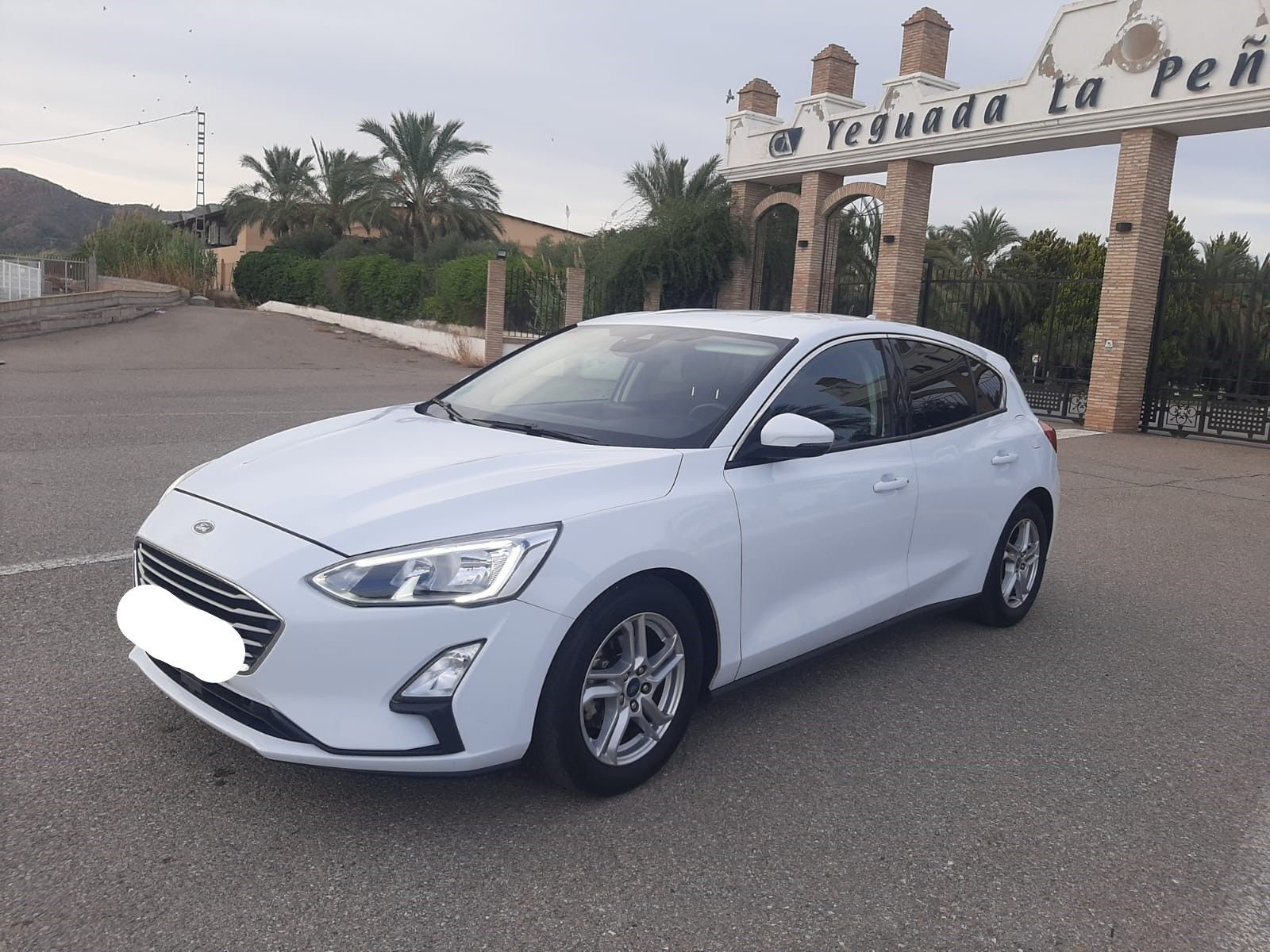 FORD Focus (1.5Ecoblue Trend+ 95) en Murcia