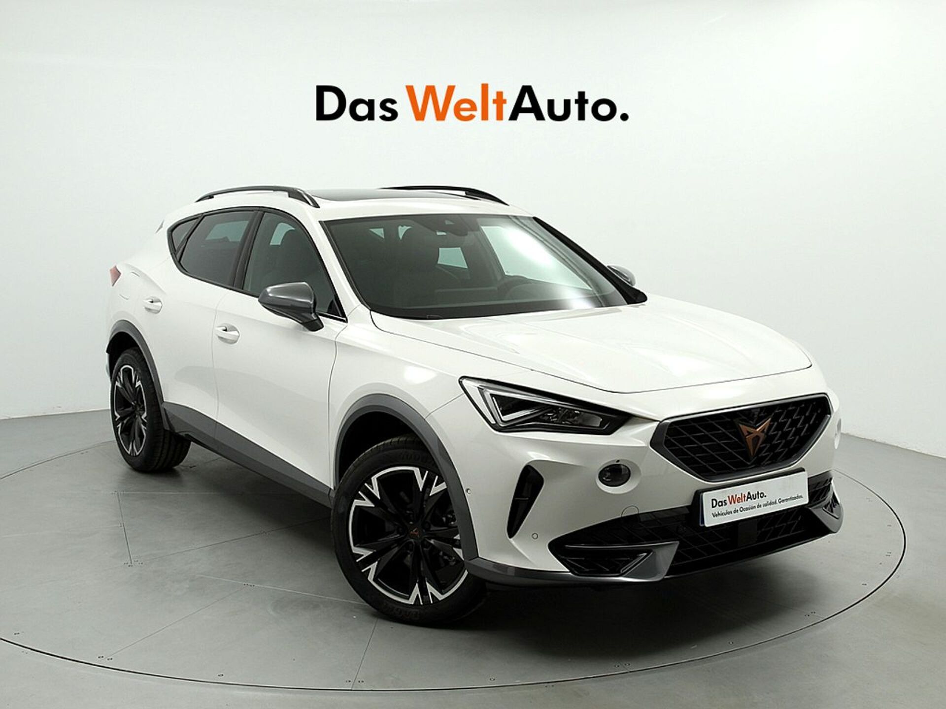 Imagen de CUPRA Formentor