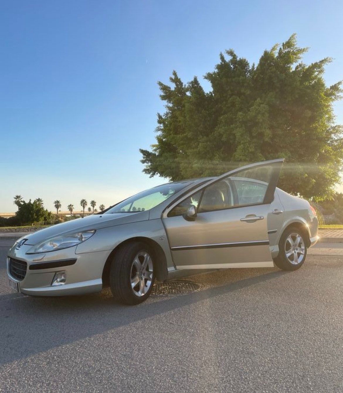 Foto del PEUGEOT 407 SW 2.0HDI ST Confort