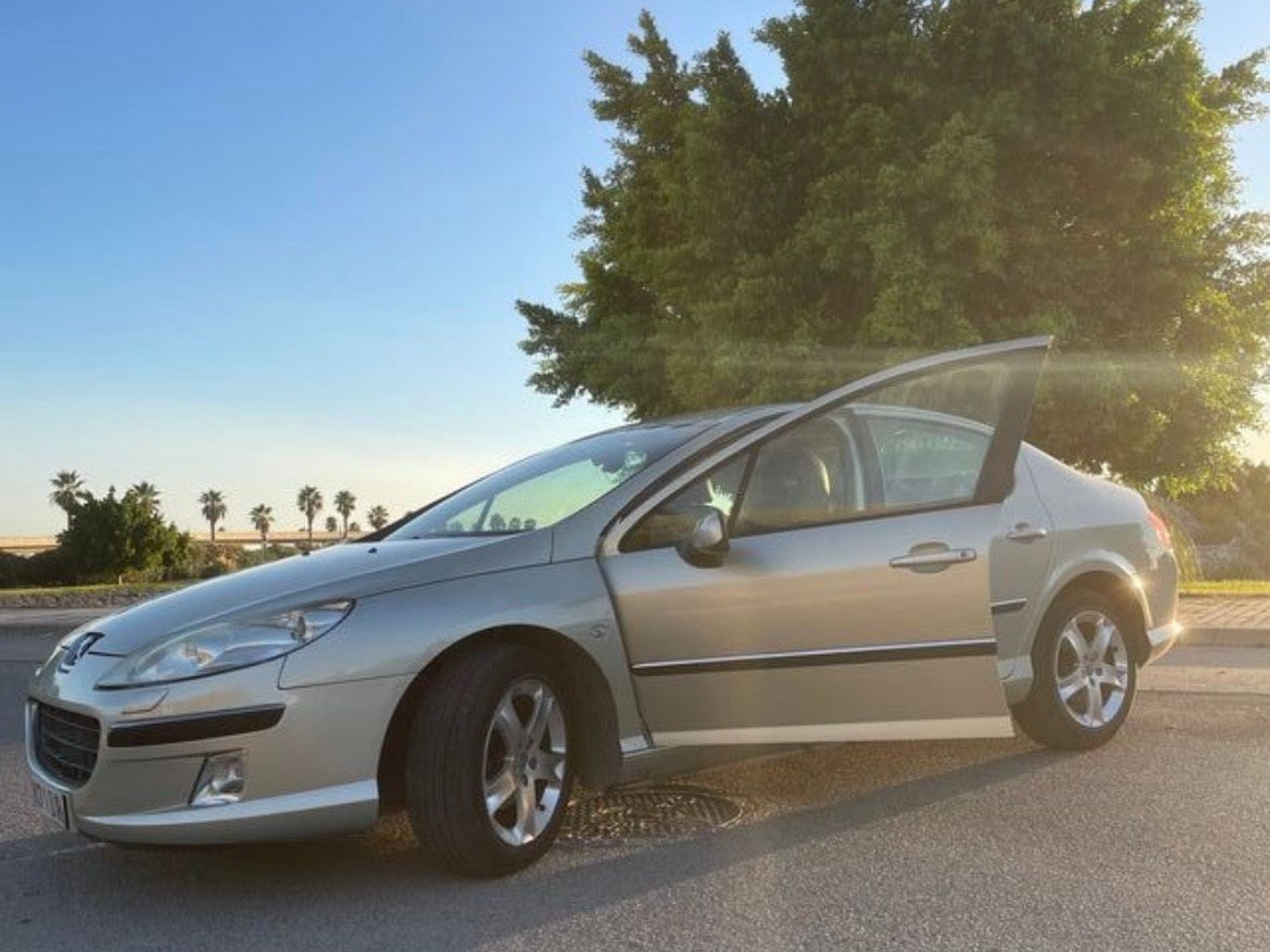 Imagen de PEUGEOT 407