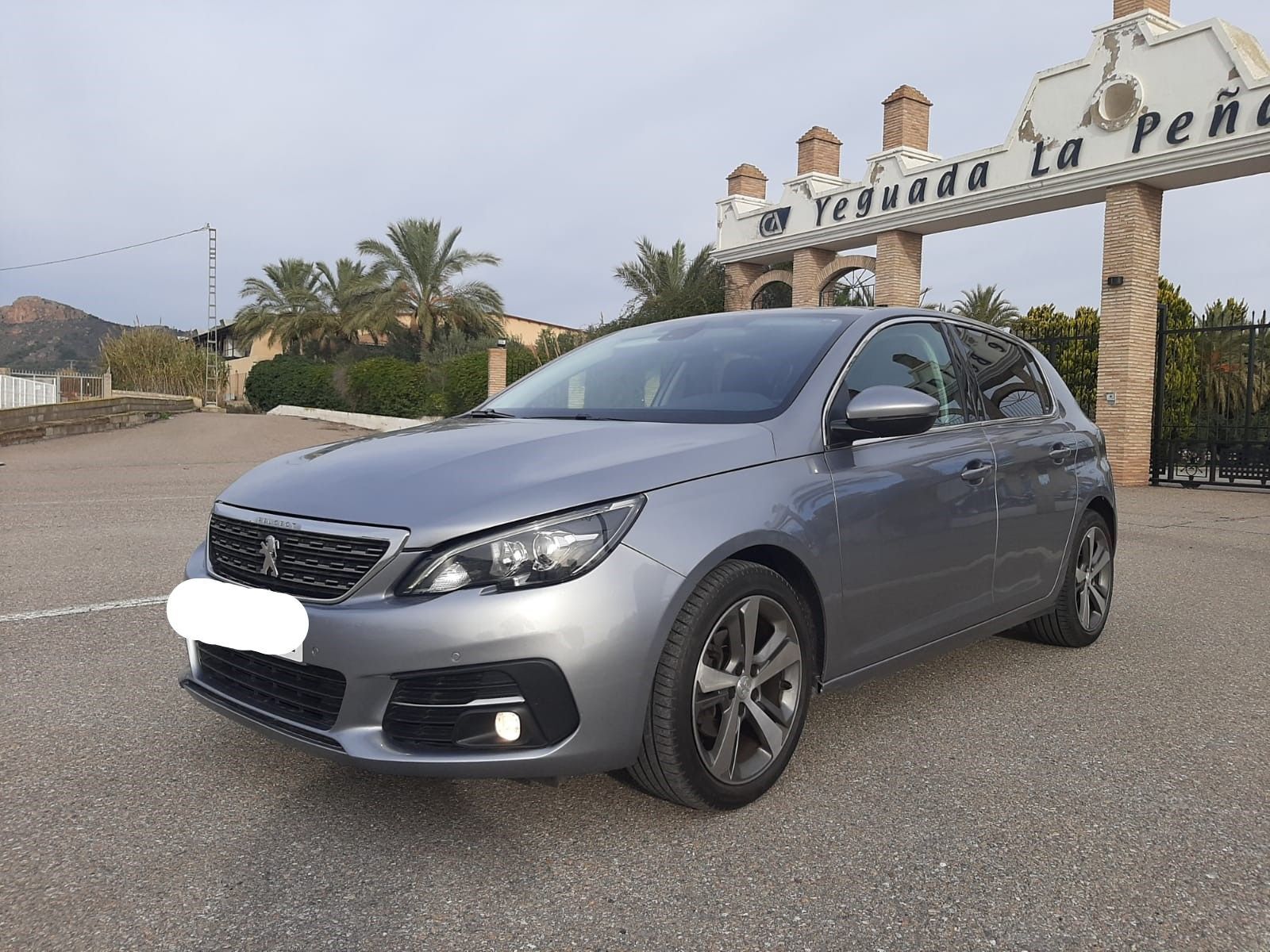 PEUGEOT 308 (1.5BlueHDi S&S Active 130) en Murcia
