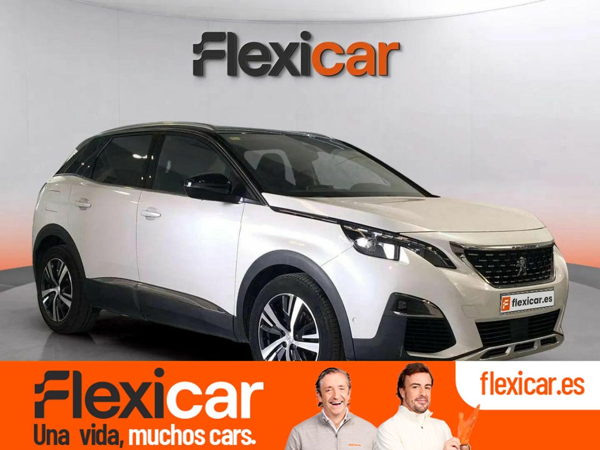 Imagen de PEUGEOT 3008