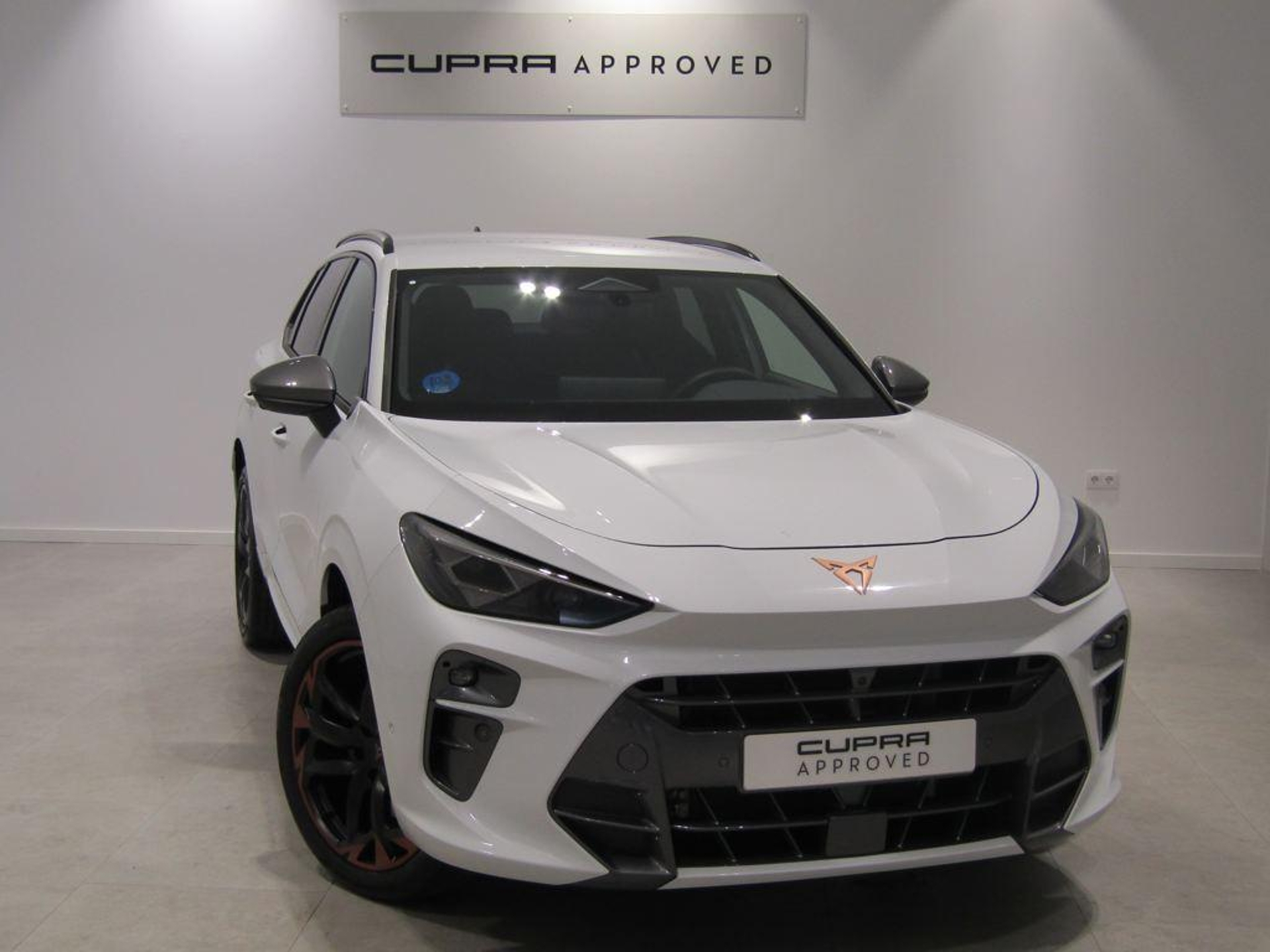 Imagen de CUPRA Terramar