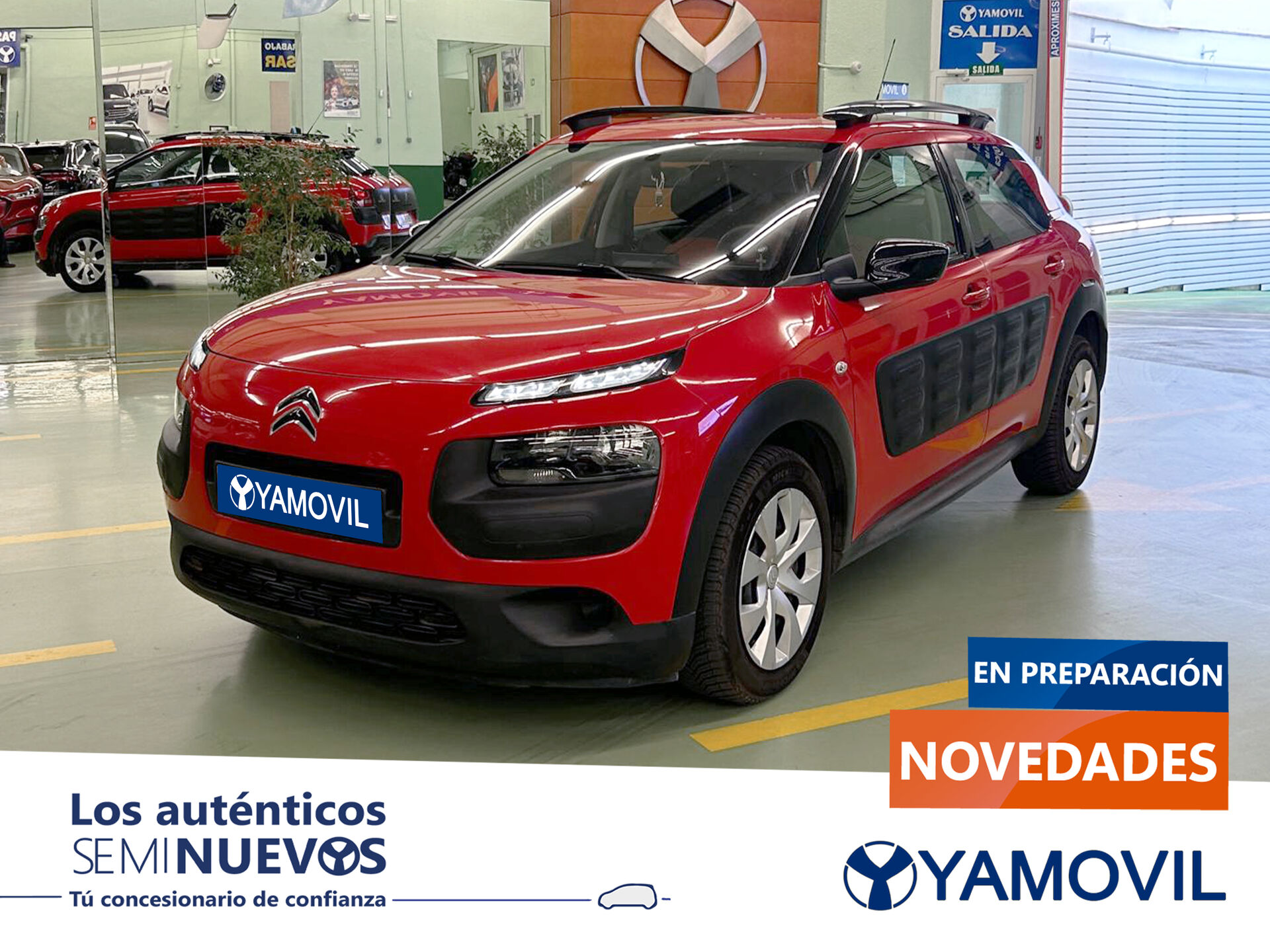 Imagen de CITROEN C4 Cactus