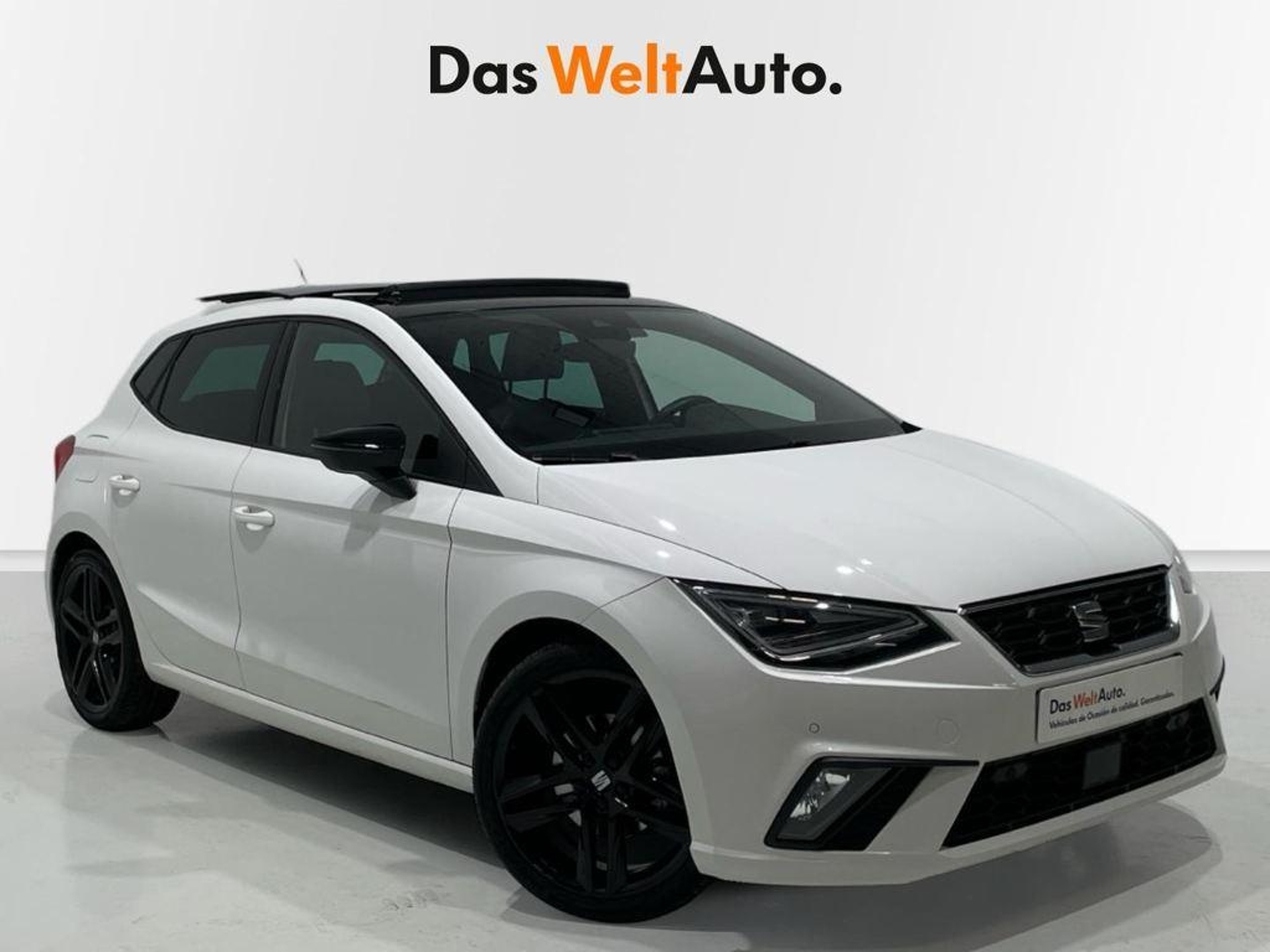 Imagen de SEAT Ibiza