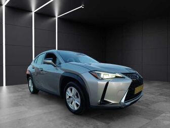 Imagen de LEXUS UX 250h Business 4WD