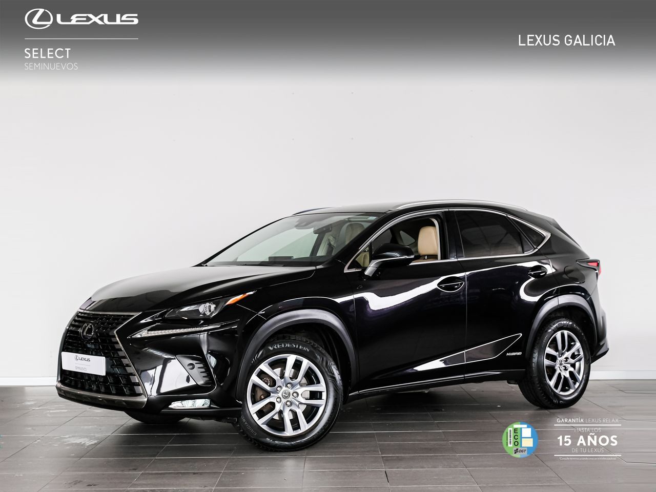 LEXUS NX (Executive Navigation) en Coruña, A