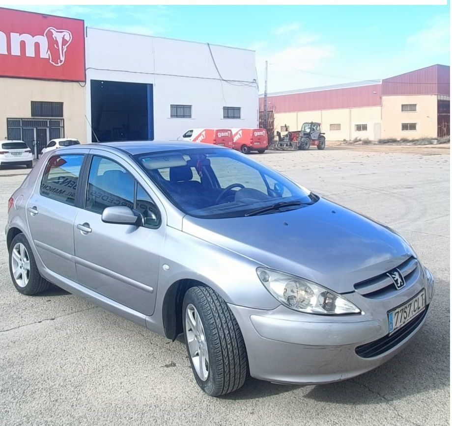 Foto del PEUGEOT 307 2.0HDI XR