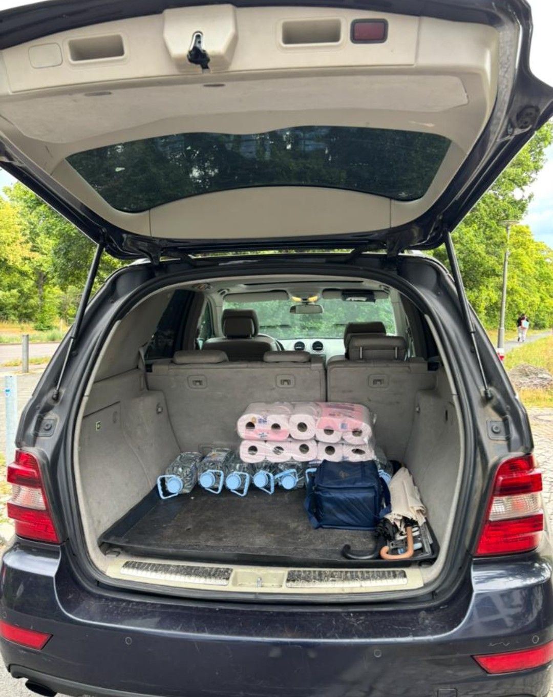 Foto del MERCEDES Clase M ML 300CDI BE 4M Aut.