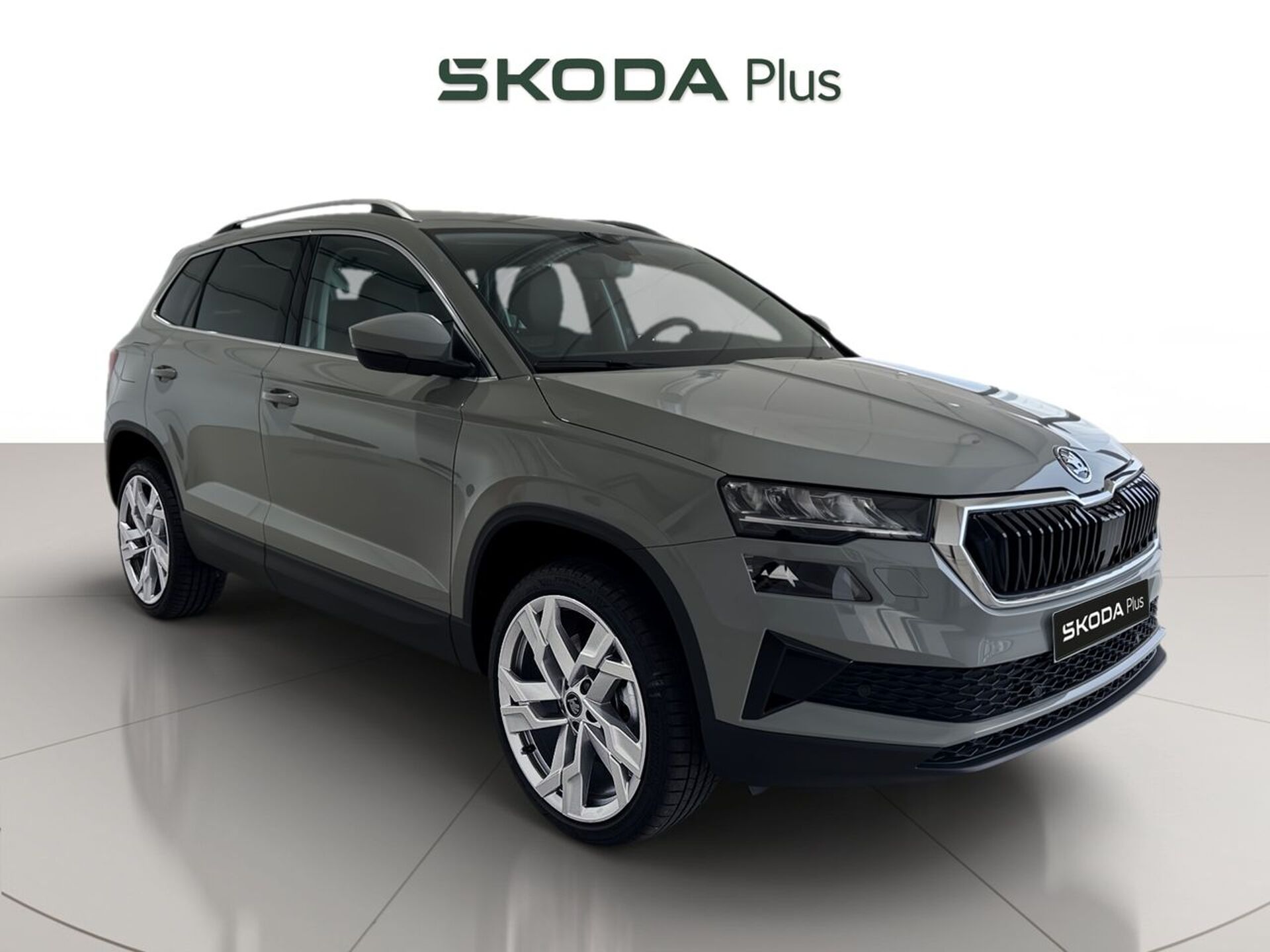 Imagen 1 de SKODA Karoq