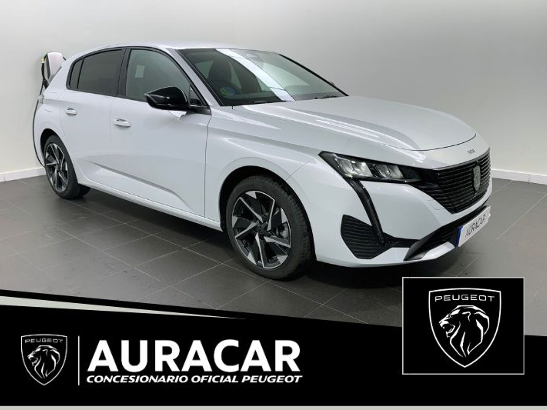 Imagen de PEUGEOT 308