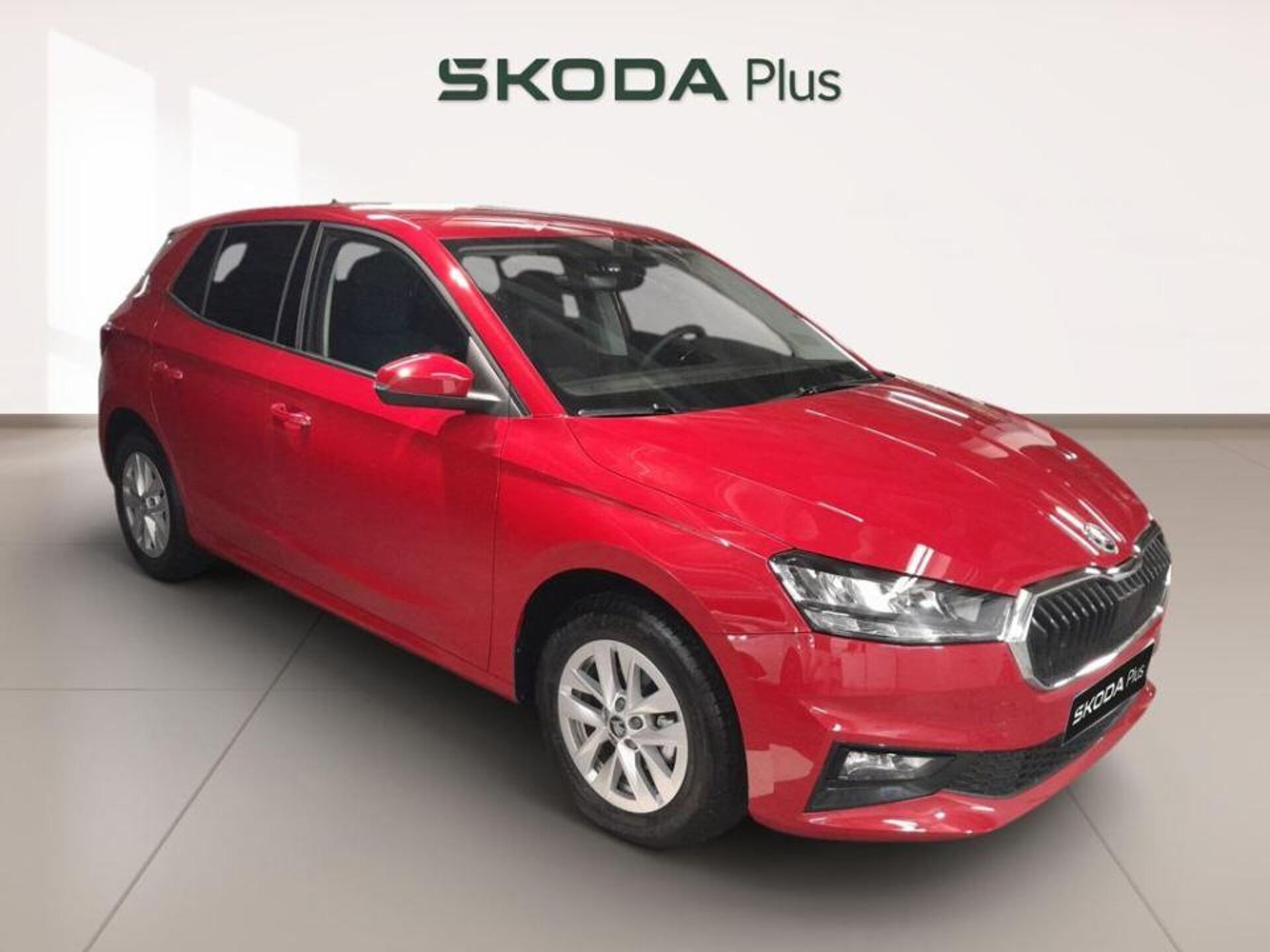 Imagen 1 de SKODA Fabia