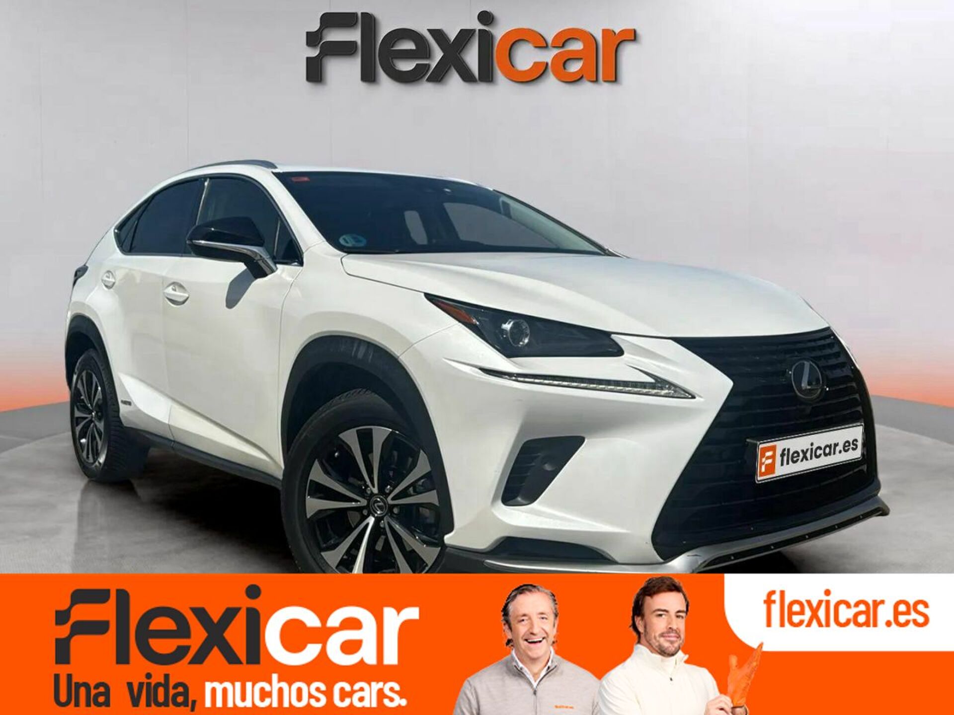 Imagen de LEXUS NX