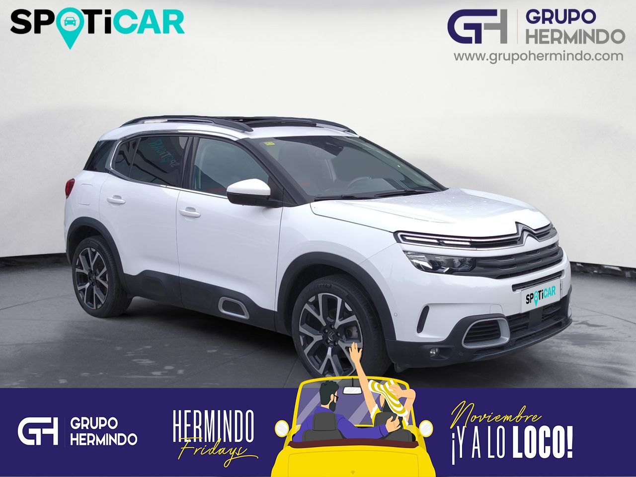 CITROEN C5 Aircross (BLUE HDI 130 CV FEEL) en Pontevedra