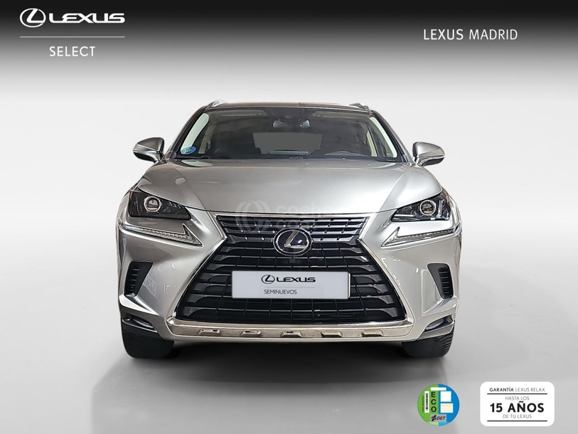 Foto del LEXUS NX 300h Business Navigation 2WD