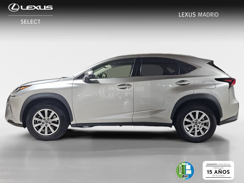 Foto del LEXUS NX 300h Business Navigation 2WD