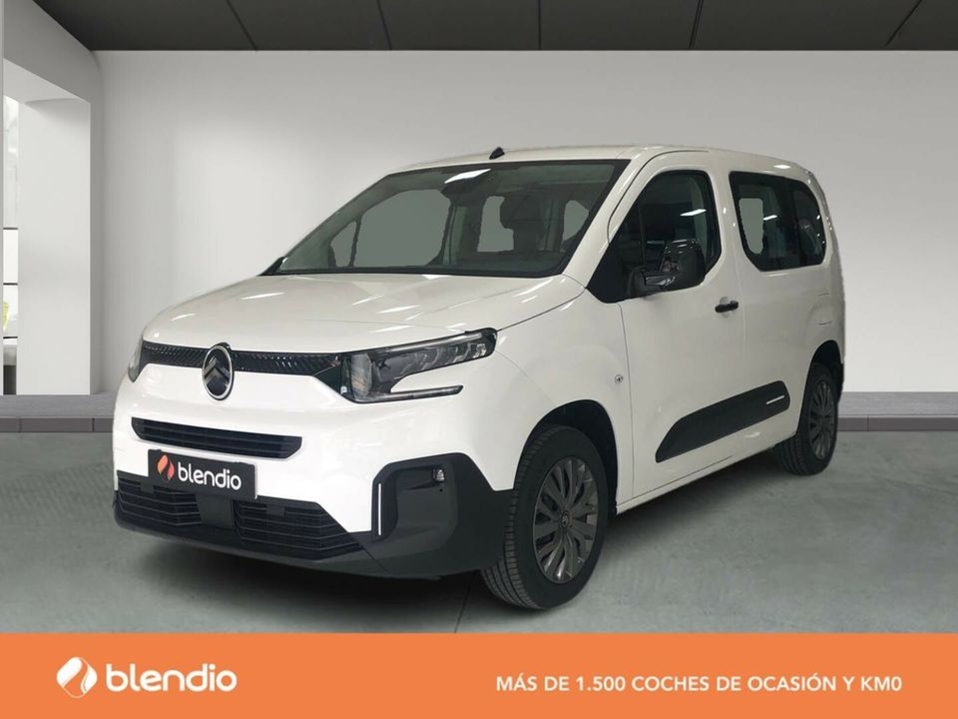 Imagen de CITROEN Berlingo