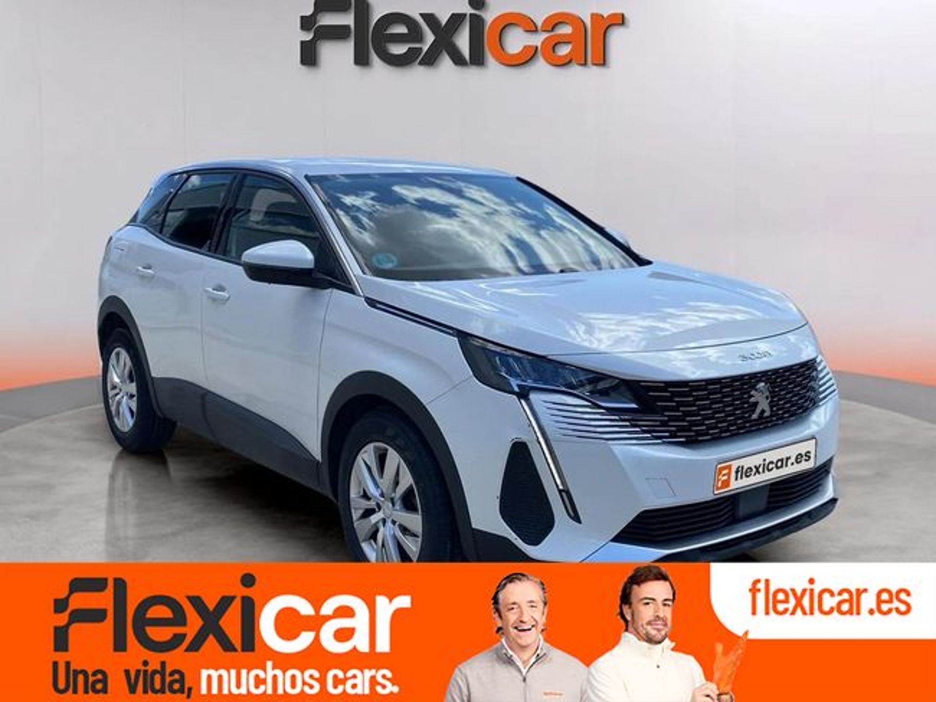 Imagen de PEUGEOT 3008