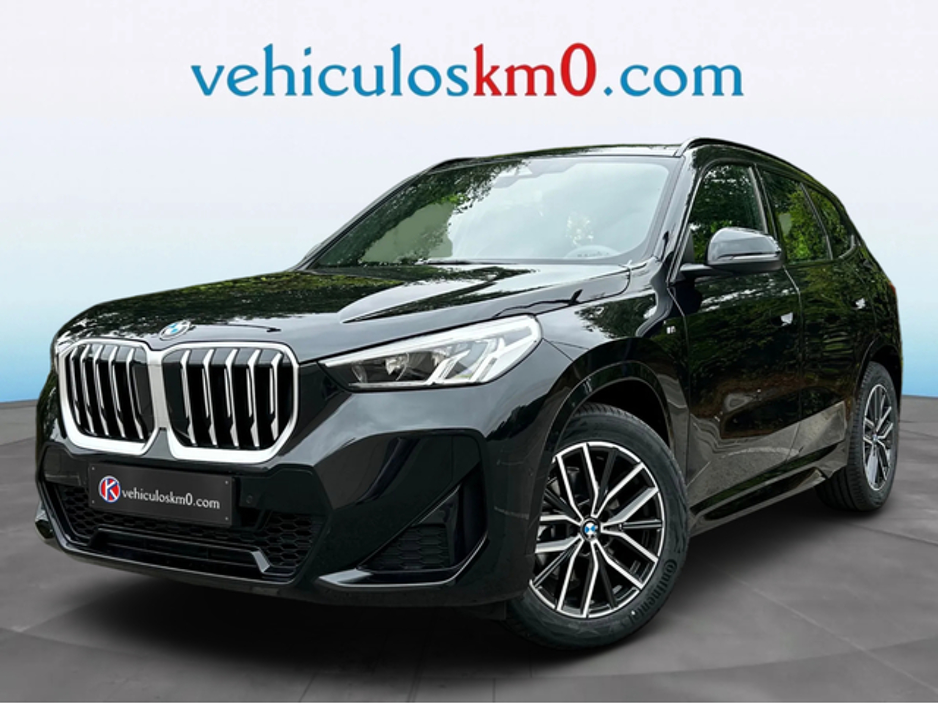 Imagen de BMW X1