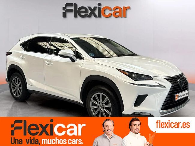 LEXUS NX (2.5 300h Business 2WD) en Cantabria