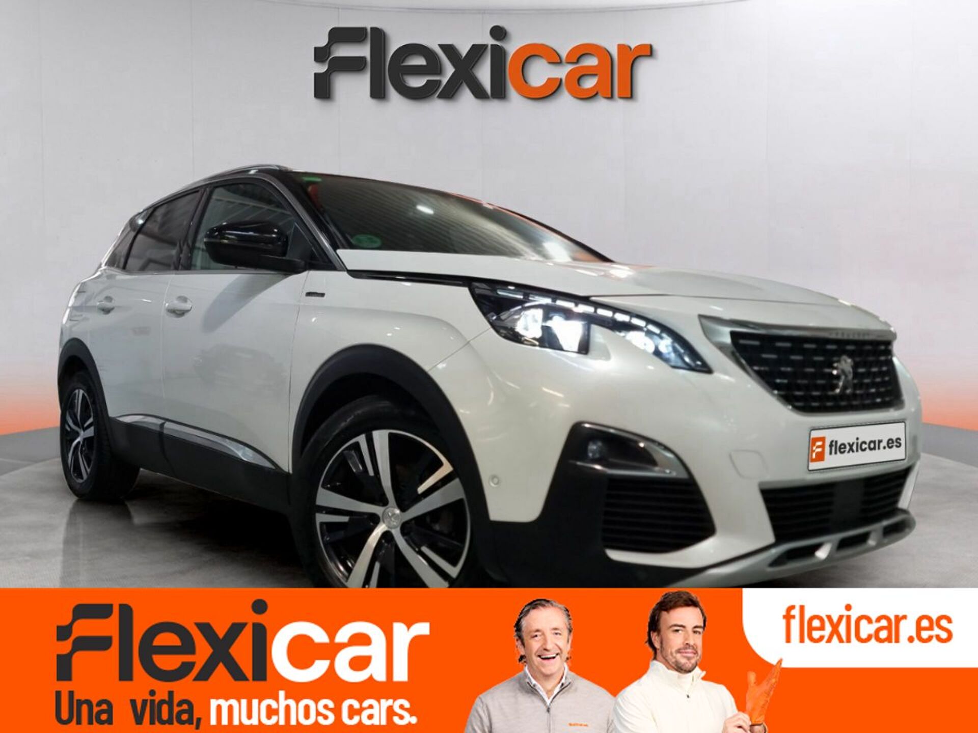 Imagen de PEUGEOT 3008
