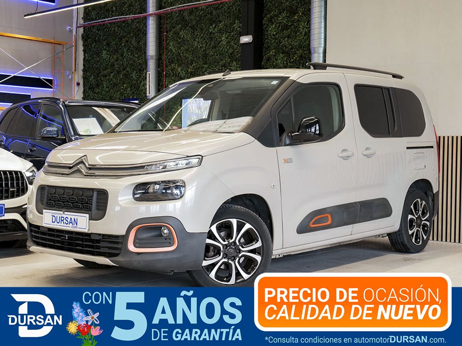Imagen de CITROEN Berlingo