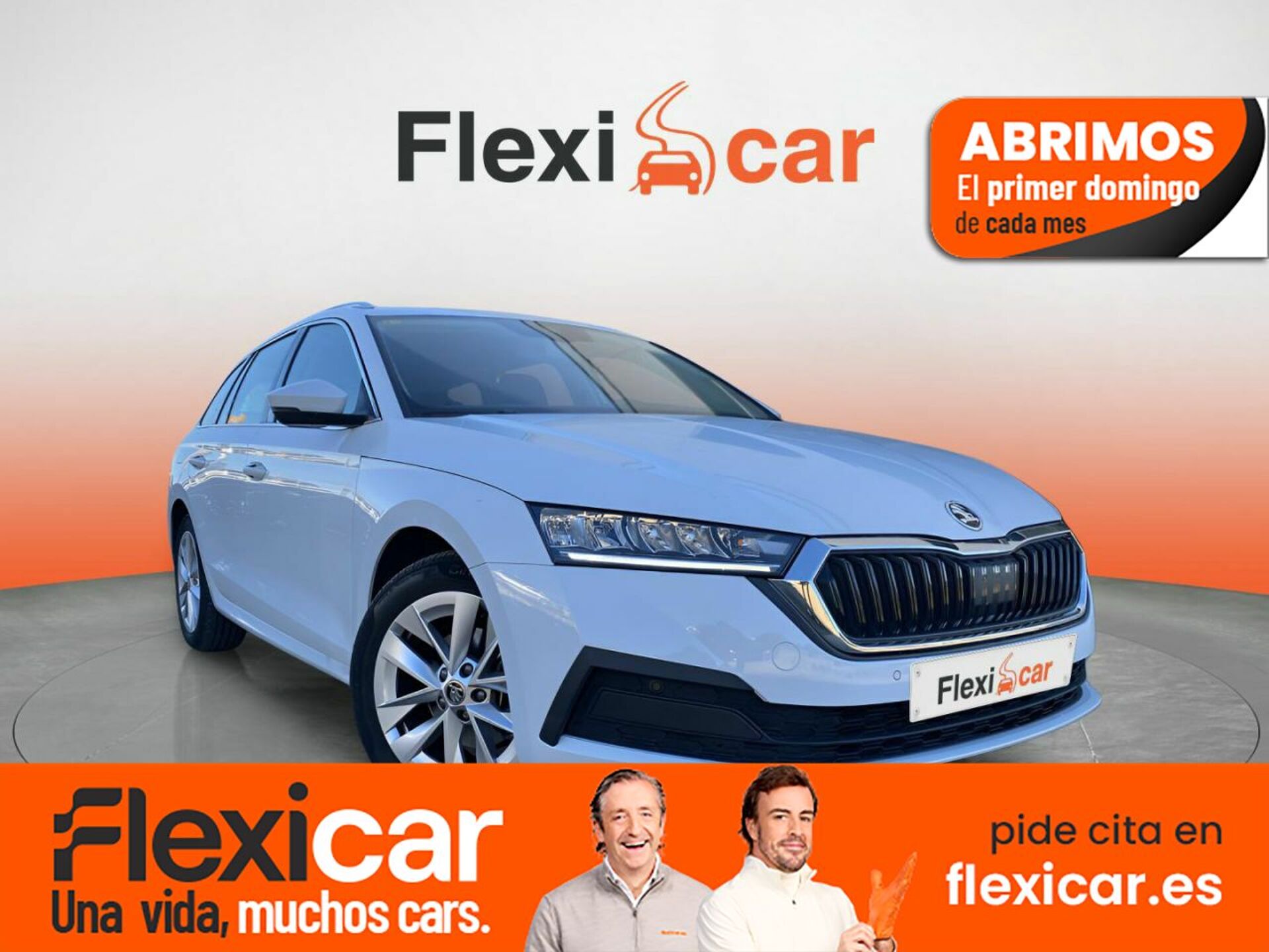 Imagen de SKODA Octavia