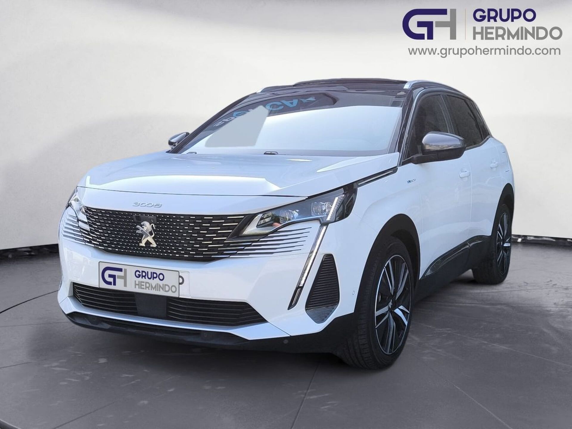 Imagen de PEUGEOT 3008