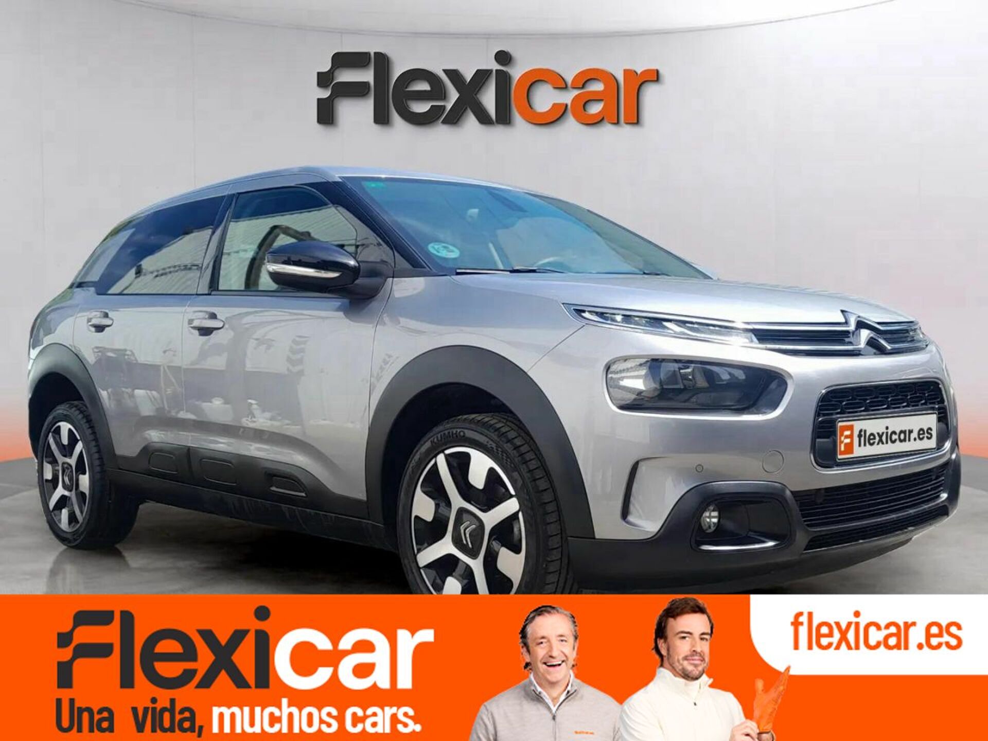 Imagen de CITROEN C4 Cactus