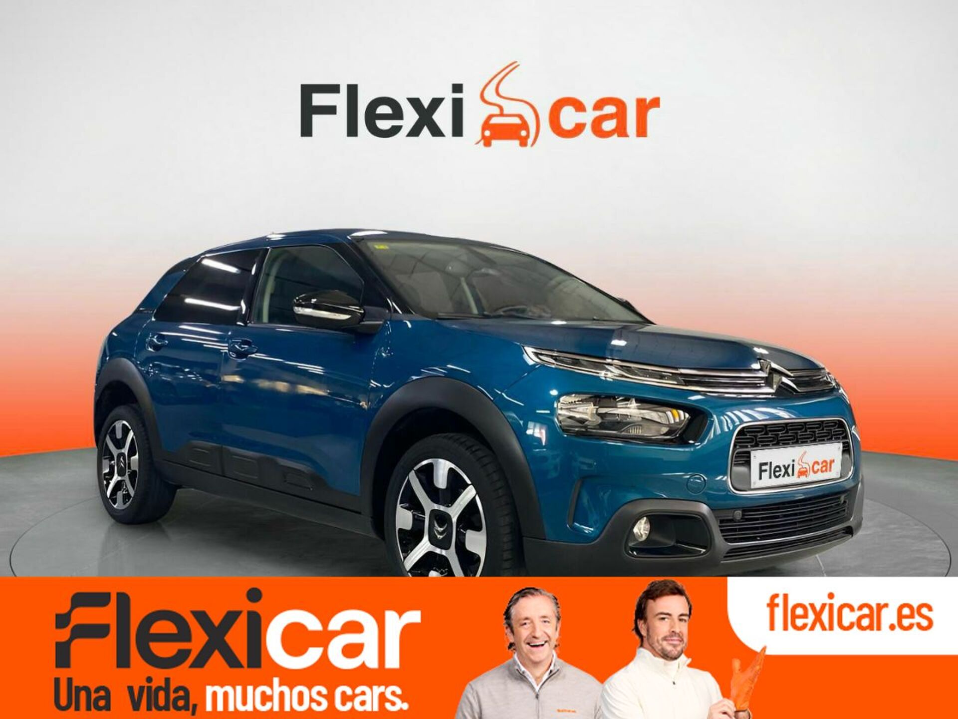 Imagen de CITROEN C4 Cactus