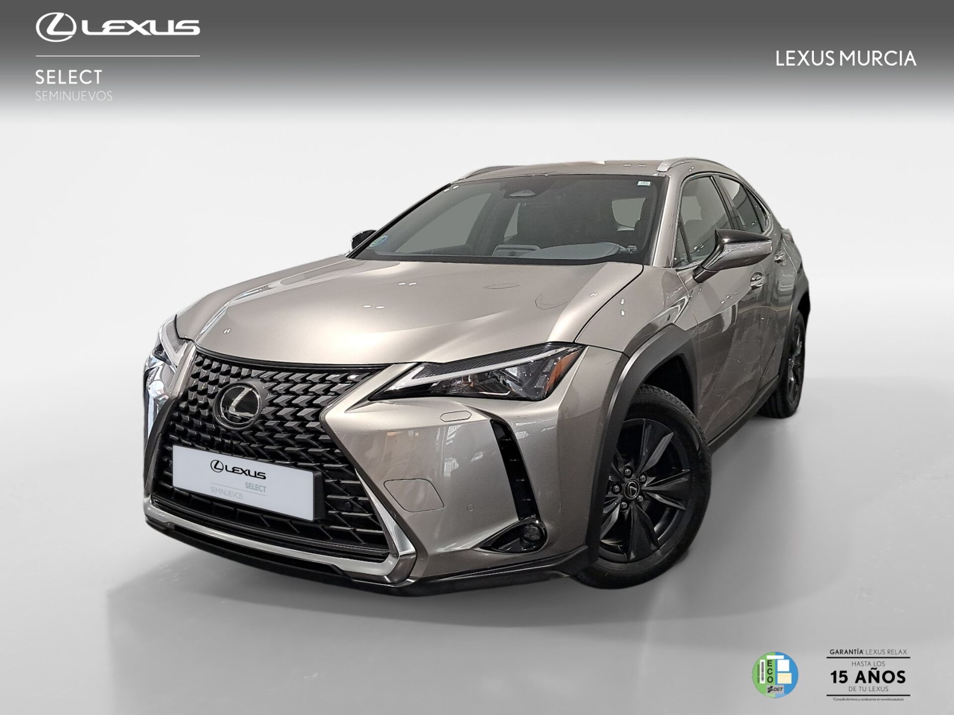 Imagen 1 de LEXUS UX