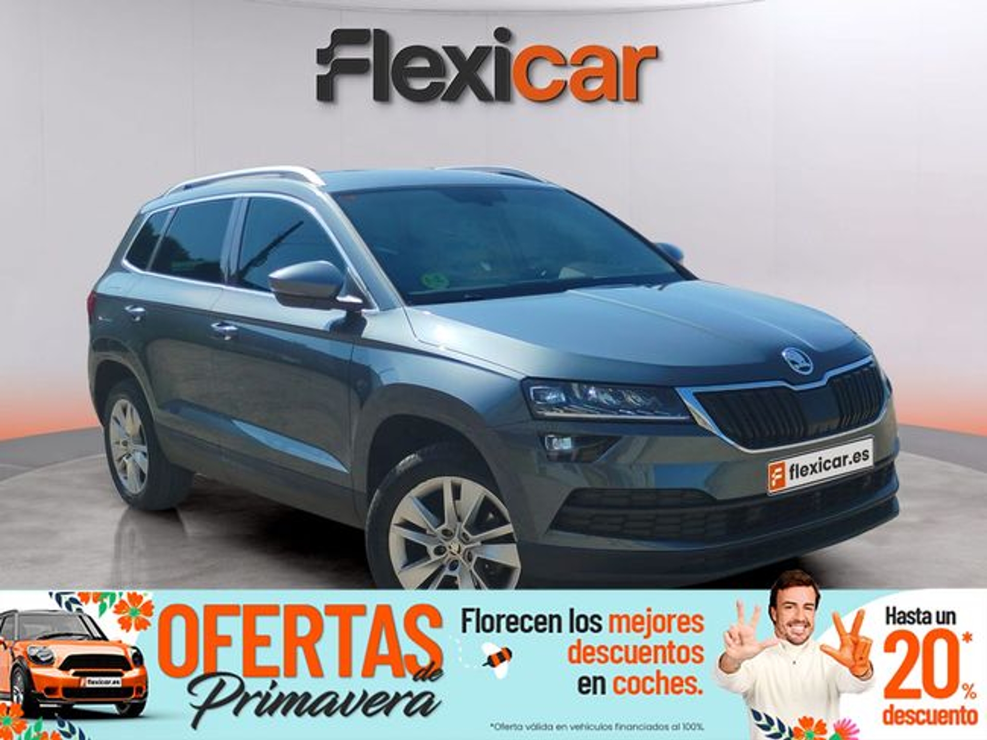 Imagen de SKODA Karoq