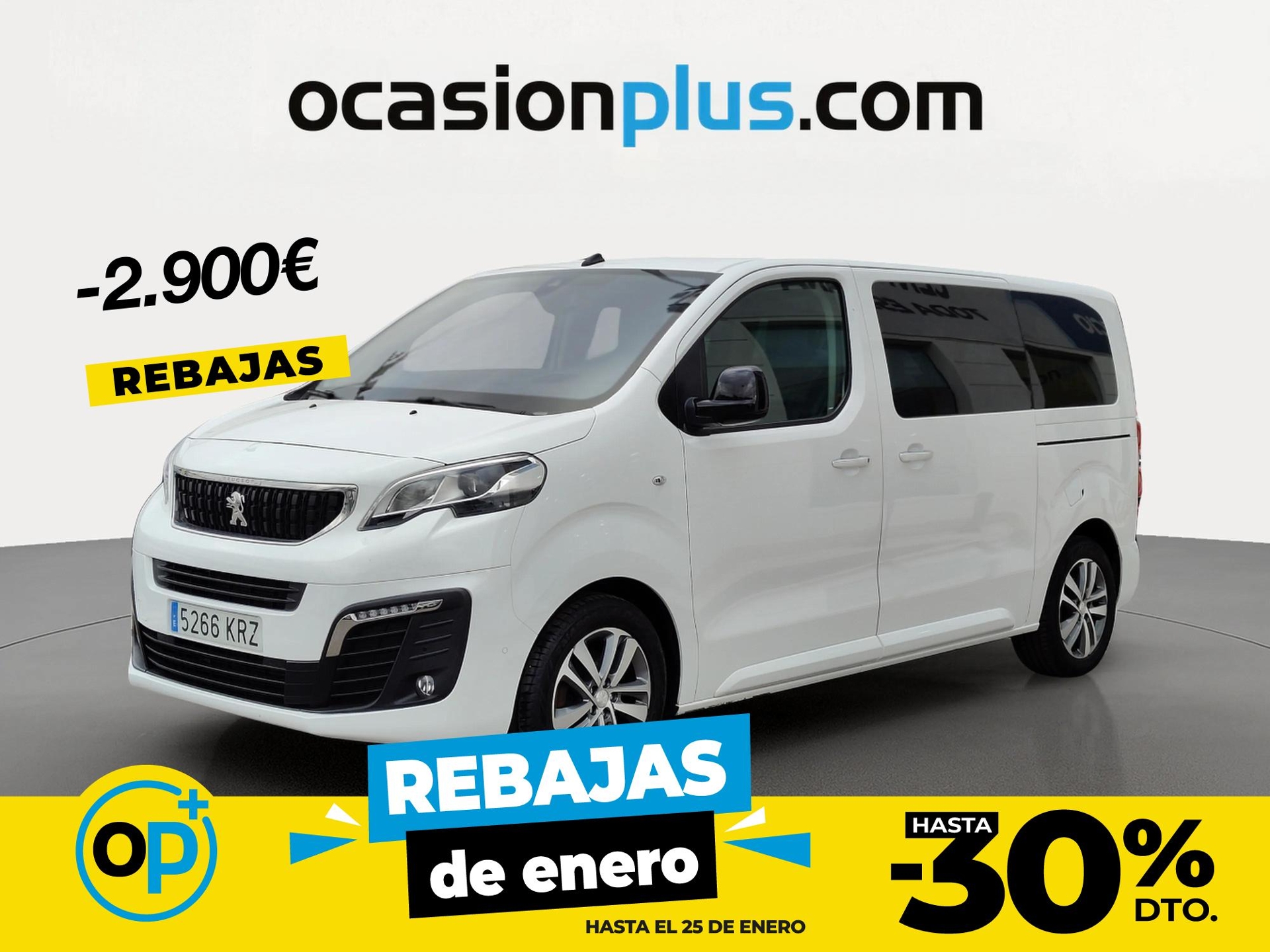 Imagen de PEUGEOT Traveller