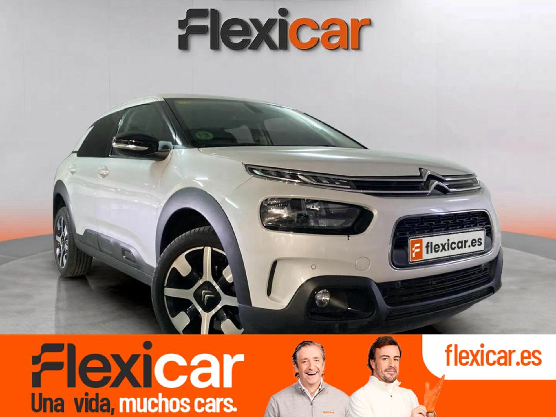 Imagen de CITROEN C4 Cactus