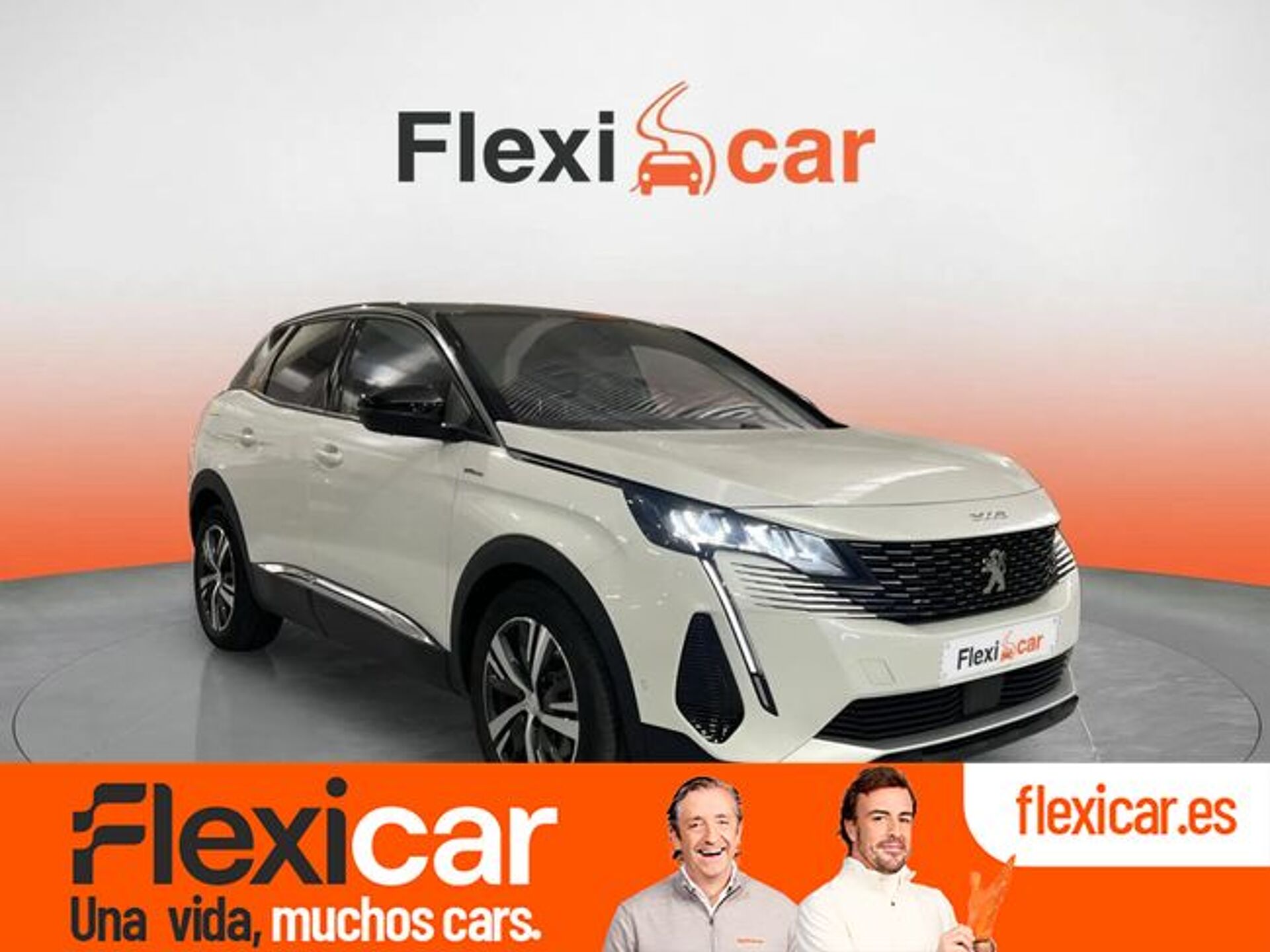 Imagen de PEUGEOT 3008