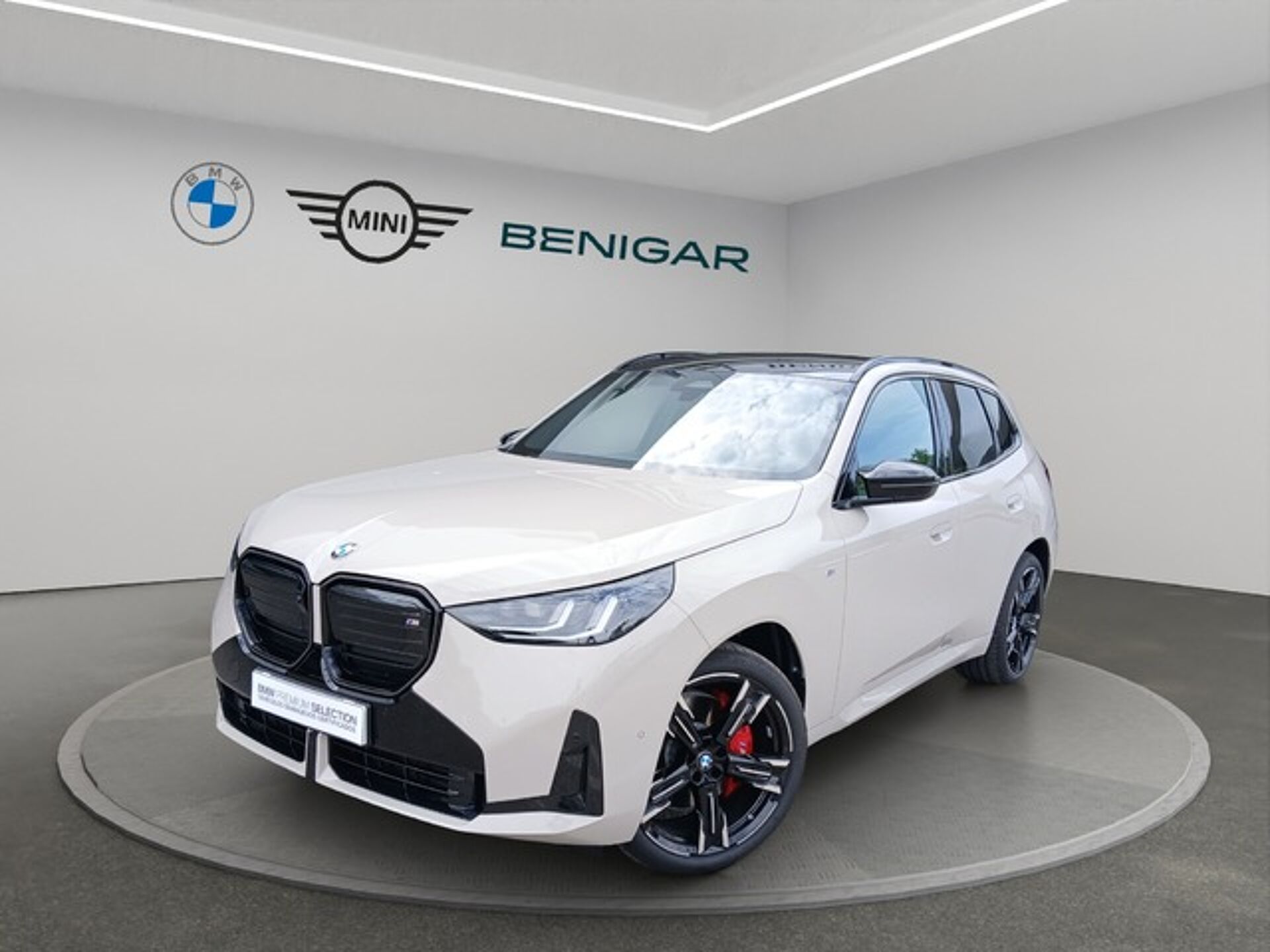 Imagen de BMW X3