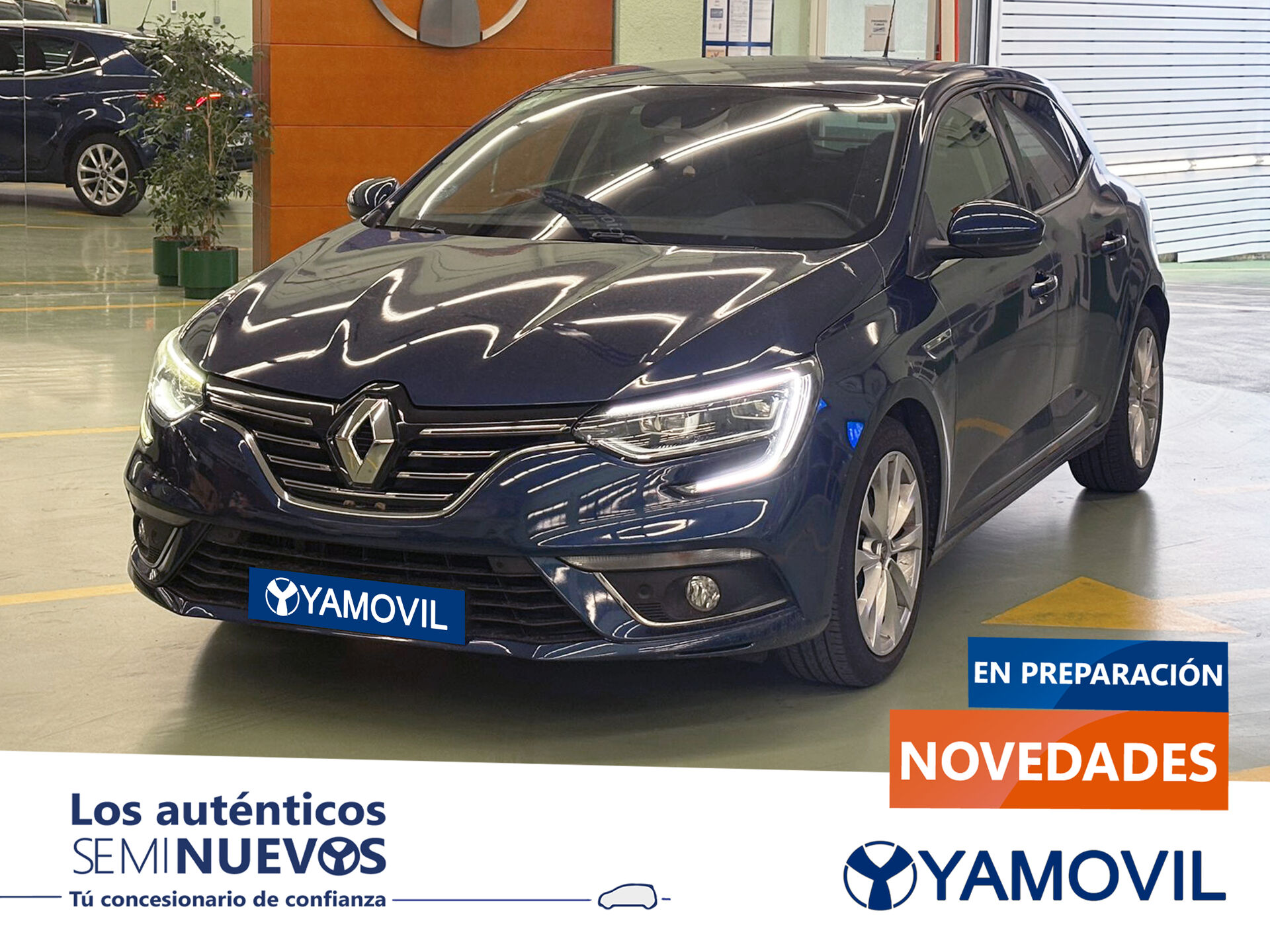 Imagen de RENAULT Mégane