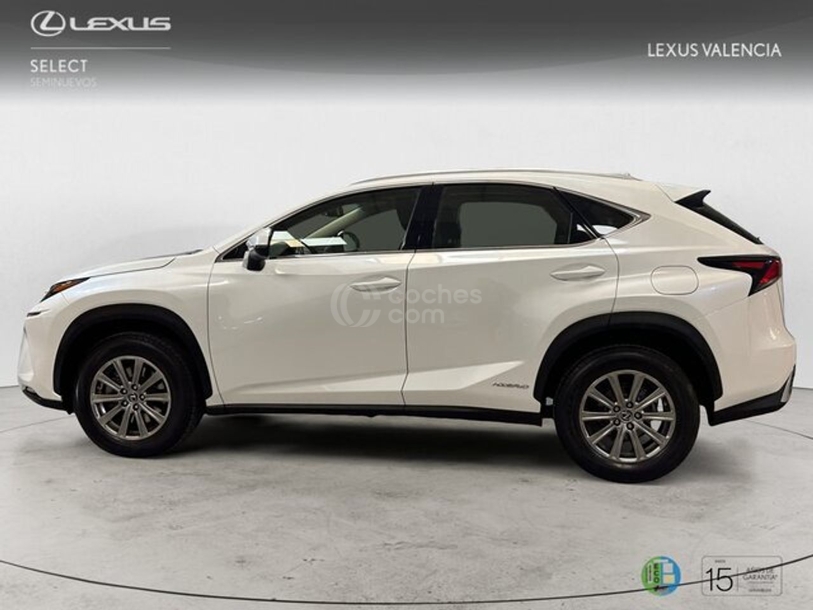 Foto del LEXUS NX 300h Business Navigation 2WD