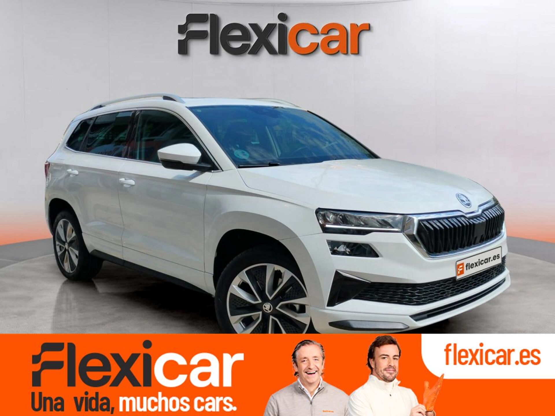 Imagen de SKODA Karoq